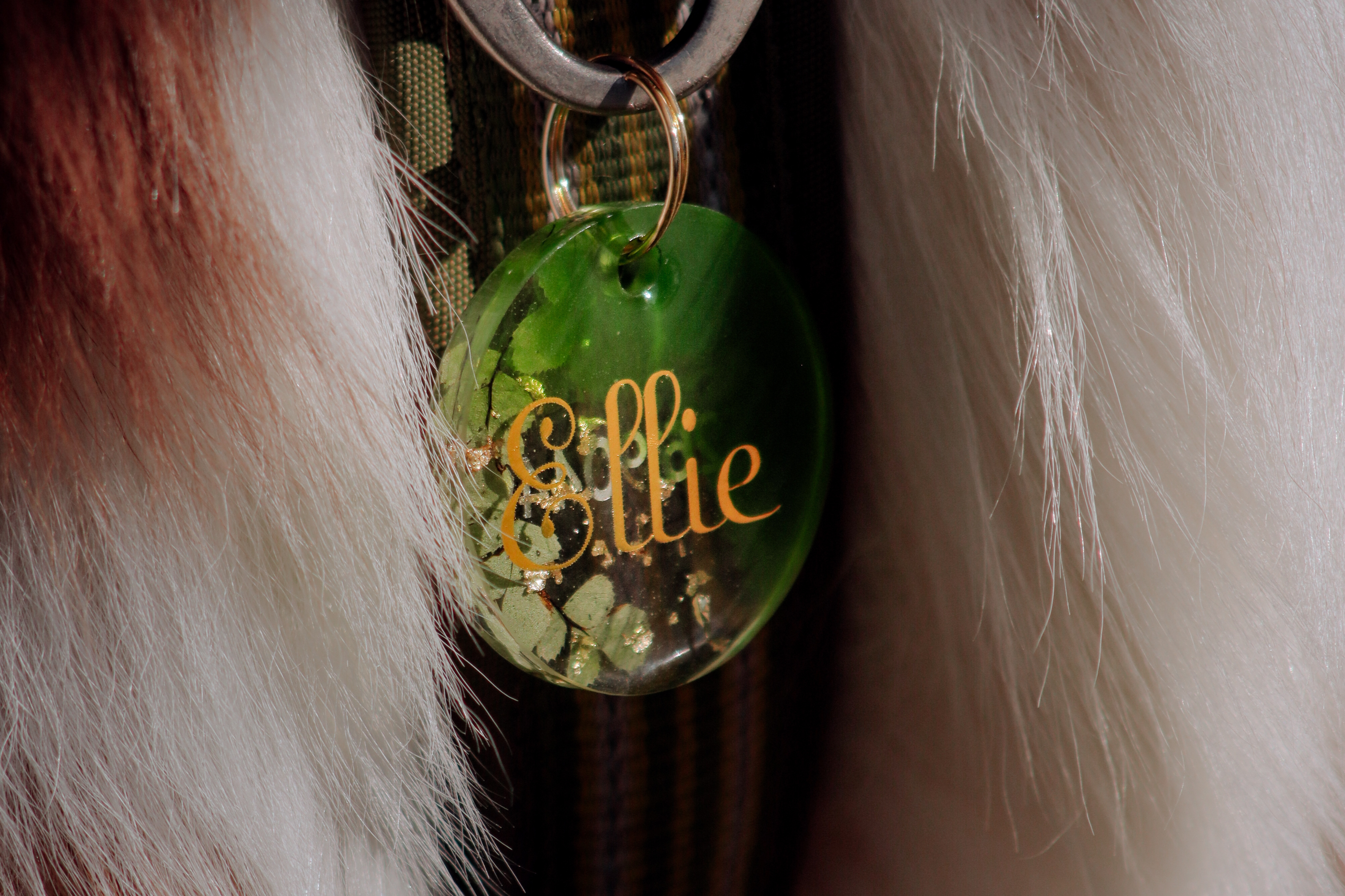 🐾 Stilfulde hundetegn