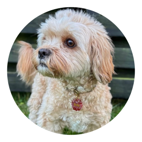 Lille b&oslash;lget rund