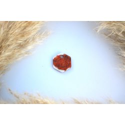 Hundetegn, lille hexagon, rdbrun og hvid