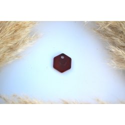 Hundetegn, lille hexagon, caramel og hvid