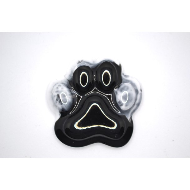 Nglering, pote, sort og hvid