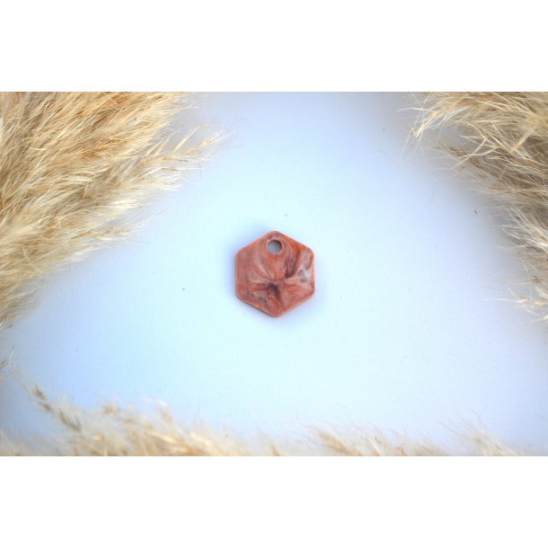 Hundetegn, lille hexagon, brun og hvid