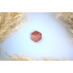 Hundetegn, lille hexagon, brun og hvid