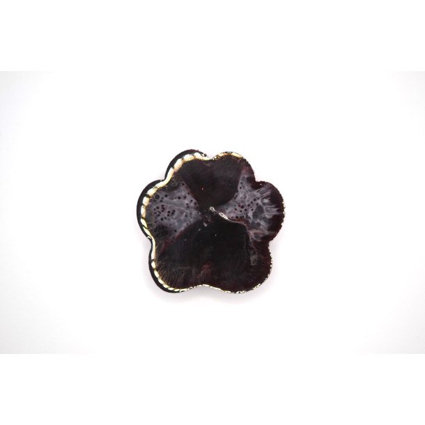 Nglering, pote, brun, hvid