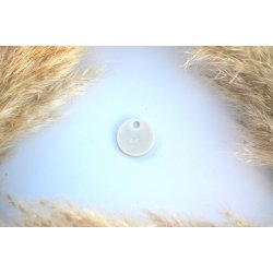 Hundetegn, lille rund, hvid perlemor med skaller