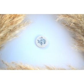 Hundetegn, lille rund, hvid perlemor med skaller