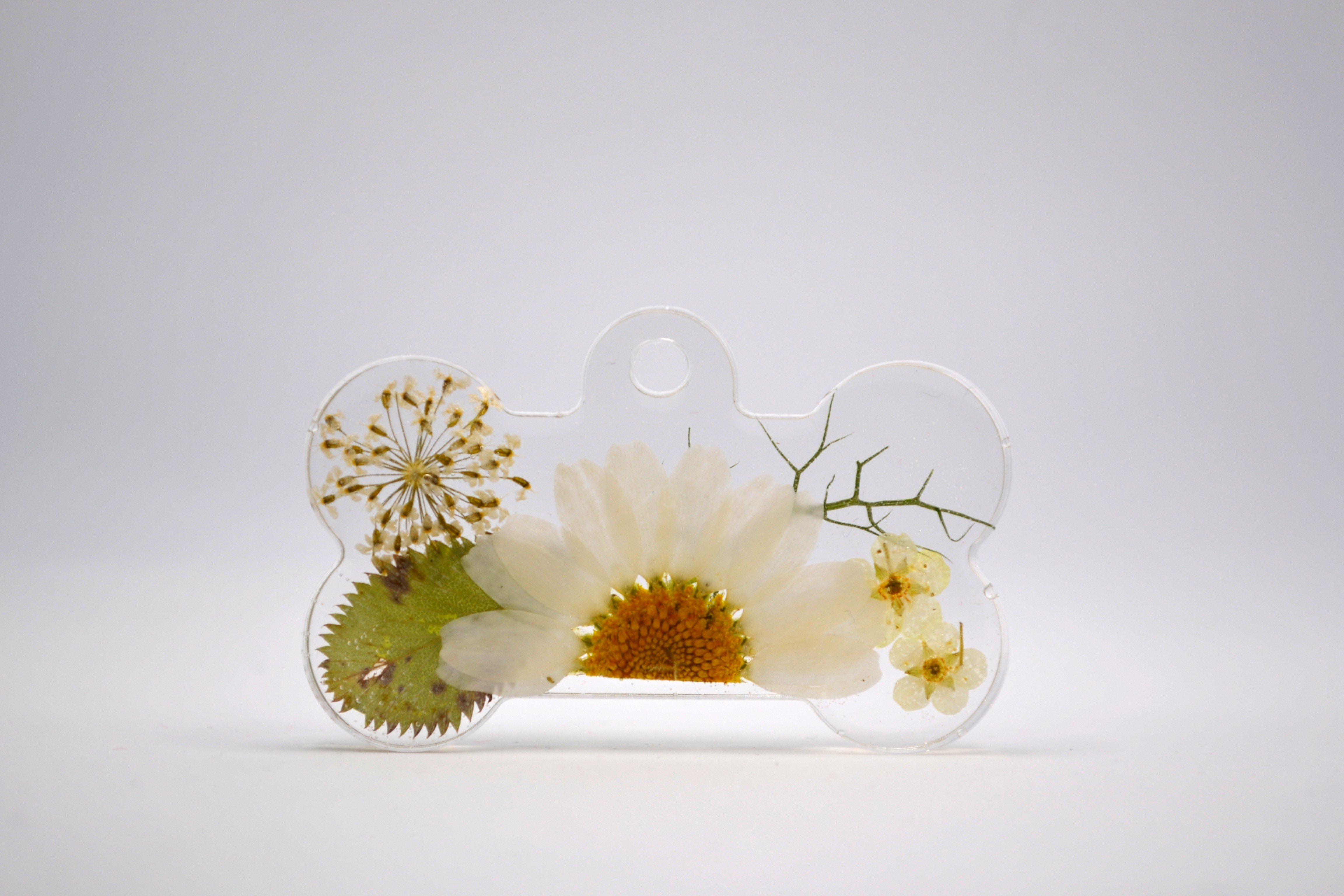 Hundetegn, stort kdben, blomster