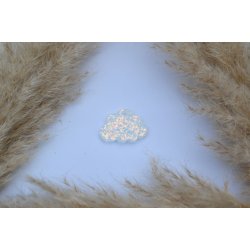 Hundetegn, lille sky, holografiske flager