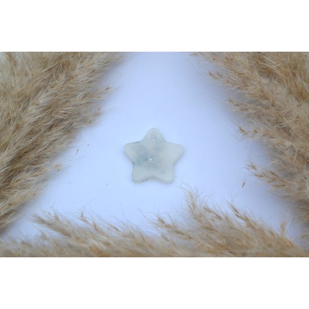 Hundetegn, stor stjerne, perlemor hvid med skaller