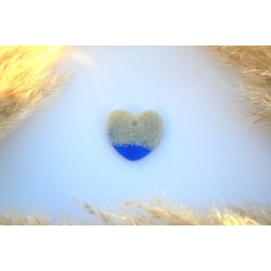 Hundetegn, stort hjerte, strand og hav