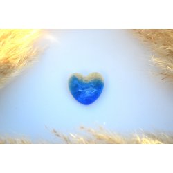 Hundetegn, stort hjerte, strand og hav