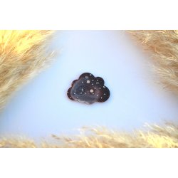 Hundetegn, stor sky, brun, hvid og guldflager