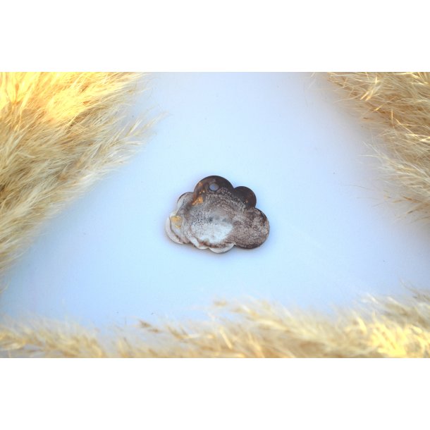 Hundetegn, stor sky, brun, hvid og bladguld