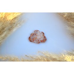 Hundetegn, stor sky, hvid, glimmer og blade