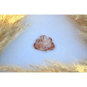 Hundetegn, stor sky, hvid, glimmer og blade