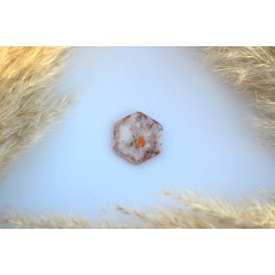 Hundetegn, mellem hexagon, hvid med glimmer med blade