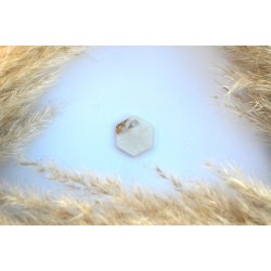 Hundetegn, lille hexagon, perlemor med bladguld