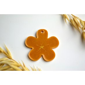 Hundetegn, stor blomst, karry gul shimmer