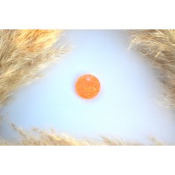 Hundetegn, lille rund, orange glitter