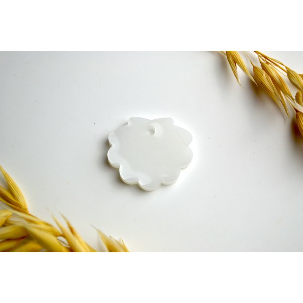 Hundetegn, lille musling, hvid