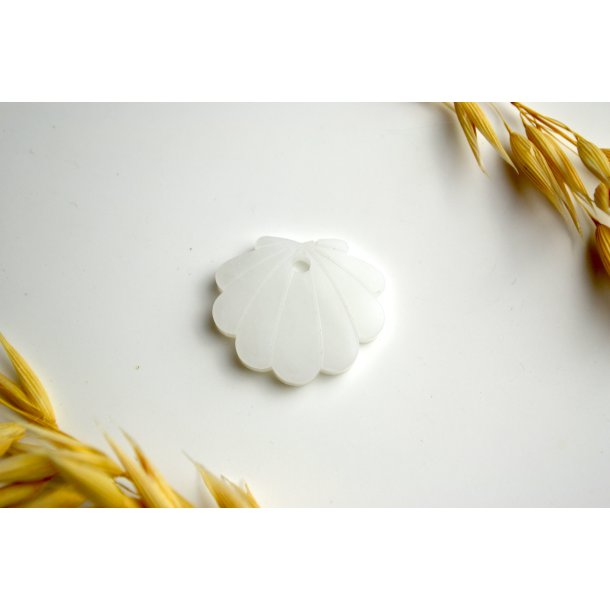 Hundetegn, lille musling, hvid