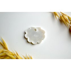 Hundetegn, lille musling, perlemor med skaller