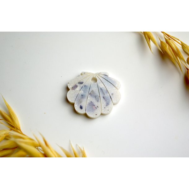 Hundetegn, lille musling, perlemor med skaller