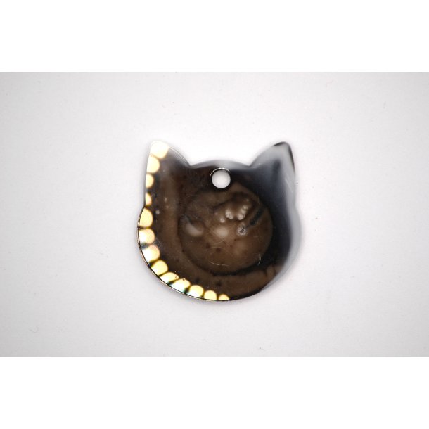 Hundetegn stort katte hoved, brunlig og hvid