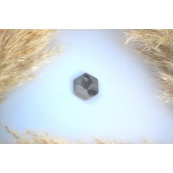 Hundetegn, lille hexagon, gr og beige