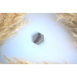 Hundetegn, lille hexagon, gr og beige