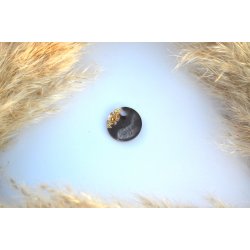 Hundetegn, lille rund, brun, hvid og bladguld