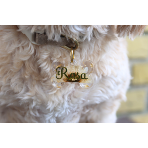 Rosa - blomst med bladguld