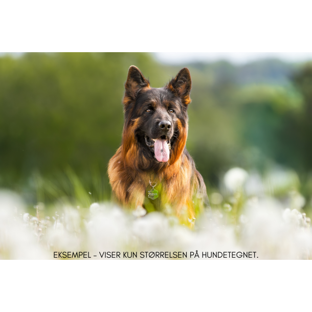 Hundetegn, stort hexagon, bl shimmer