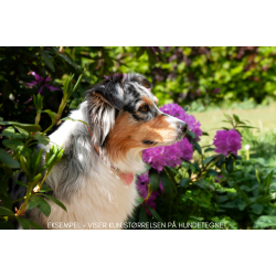 Hundetegn, stort hjerte, bl med forskellig glitter